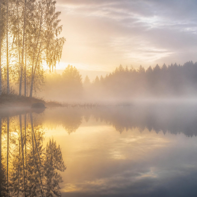 Mist Over Still Water by Sessions
