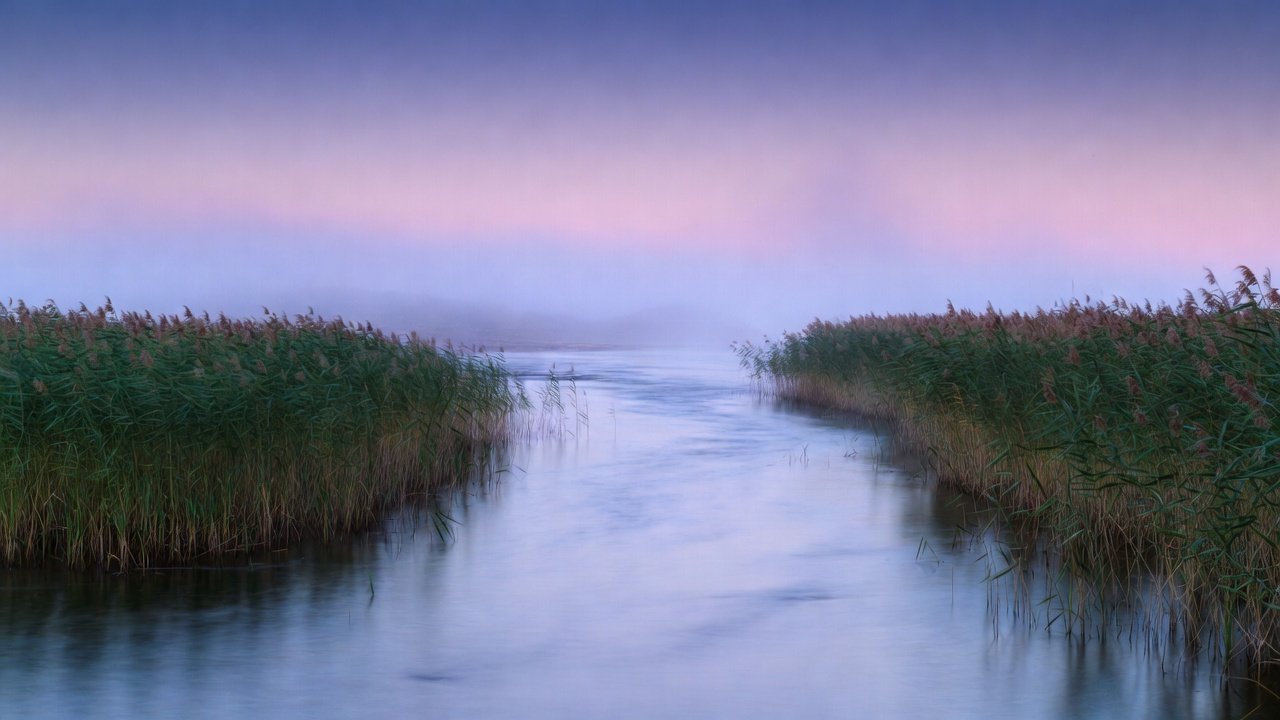 Reed Glass Hour by Sessions
